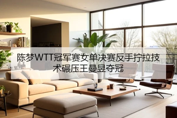 陈梦WTT冠军赛女单决赛反手拧拉技术碾压王曼昱夺冠